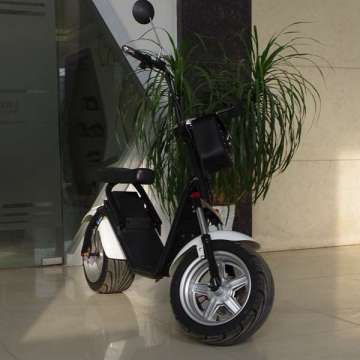 China Ce 1000W Electric Scooter with Upper Removable Li-ion Battery (JY-ES055)